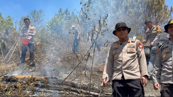 Karhutla Hanguskan 5 Hektare Lahan di Mamasa, Polisi dan Damkar Berjibaku Padamkan Api